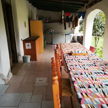 منزل ريفي Pinnettu Sardo In Ecosistema Insetti E Animaletti Simpatici In Condivisione,leggere Attentamente Prima Di Prenotare *