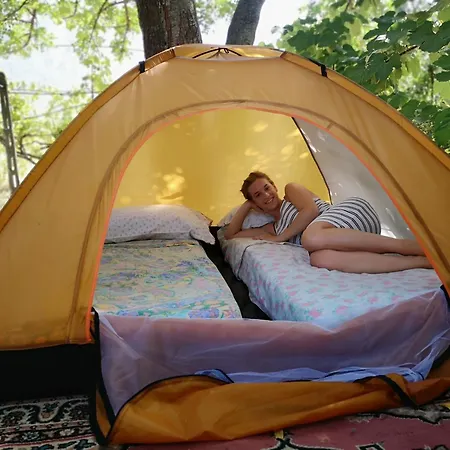 Pinnettu Sardo In Ecosistema Insetti E Animaletti Simpatici In Condivisione,leggere Attentamente Prima Di Prenotare * أوليينا