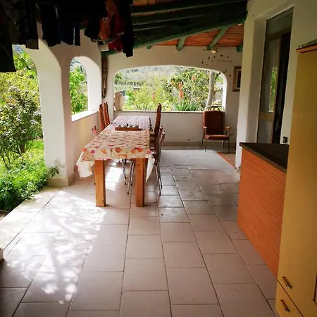 Pinnettu Sardo In Ecosistema Insetti E Animaletti Simpatici In Condivisione,leggere Attentamente Prima Di Prenotare Εξοχικό σπίτι