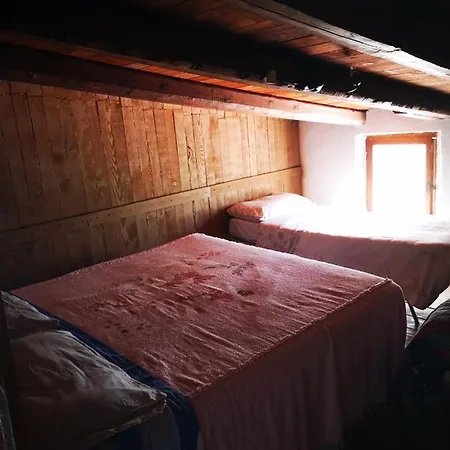 Pinnettu Sardo Casa Di Campagna In Ecosistema Insetti E Animaletti Simpatici In Condivisione,Leggere Attentamente Prima Di Prenotare Hétvégi ház Oliena