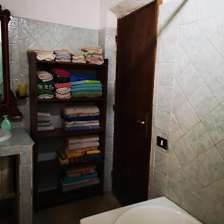 In Ecosistema Insetti E Animaletti Simpatici In Condivisione Casa di campagna *