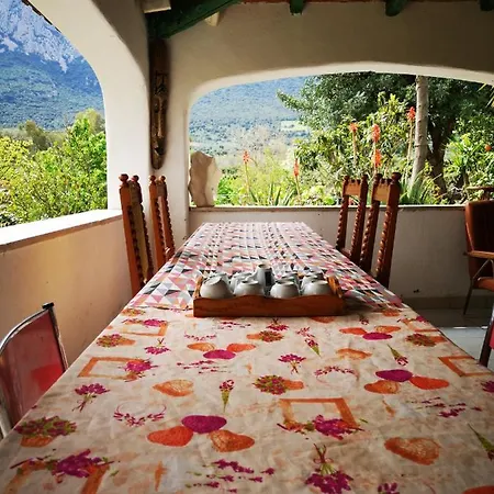 Pinnettu Sardo In Ecosistema Insetti E Animaletti Simpatici In Condivisione,leggere Attentamente Prima Di Prenotare Oliena