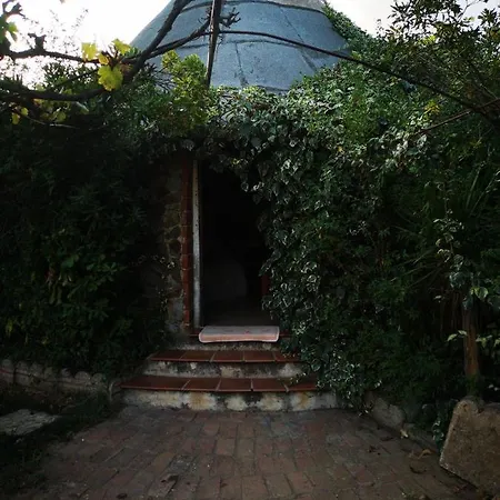 Pinnettu Sardo In Ecosistema Insetti E Animaletti Simpatici In Condivisione,leggere Attentamente Prima Di Prenotare Oliena