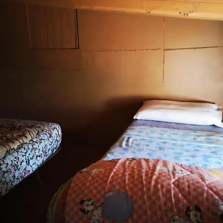 Pinnettu Sardo Casa Di Campagna In Ecosistema Insetti E Animaletti Simpatici In Condivisione,Leggere Attentamente Prima Di Prenotare