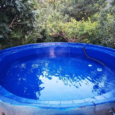Pinnettu Sardo Cerca Su Google In Ecosistema Insetti E Animaletti Simpatici In Condivisione, Stanza Matrimoniale Senza Finestra, Leggere Attentamente Prima Di Prenotare Country house *