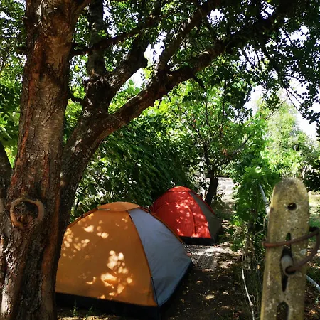 Pinnettu Sardo In Ecosistema Insetti E Animaletti Simpatici In Condivisione,leggere Attentamente Prima Di Prenotare