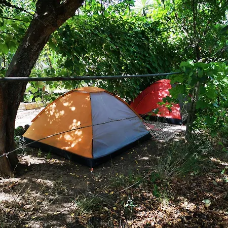 Pinnettu Sardo Casa Di Campagna In Ecosistema Insetti E Animaletti Simpatici In Condivisione,Leggere Attentamente Prima Di Prenotare Séjour à la campagne