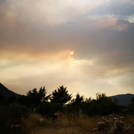 Kır Evi Pinnettu Sardo In Ecosistema Insetti E Animaletti Simpatici In Condivisione,leggere Attentamente Prima Di Prenotare Oliena