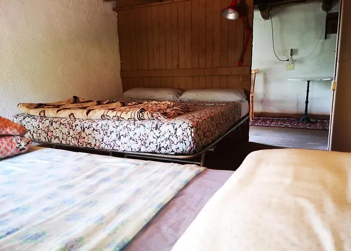 Kır Evi Pinnettu Sardo In Ecosistema Insetti E Animaletti Simpatici In Condivisione,leggere Attentamente Prima Di Prenotare Oliena