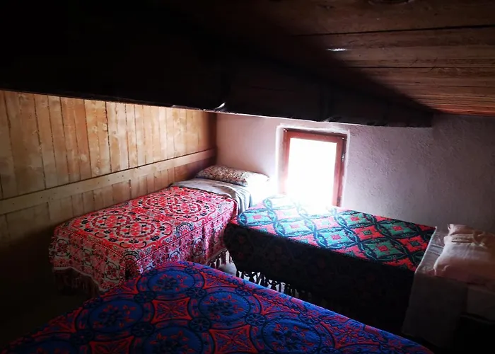 Pinnettu Sardo In Ecosistema Insetti E Animaletti Simpatici In Condivisione,leggere Attentamente Prima Di Prenotare