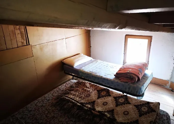 Pinnettu Sardo In Ecosistema Insetti E Animaletti Simpatici In Condivisione,leggere Attentamente Prima Di Prenotare * Oliena