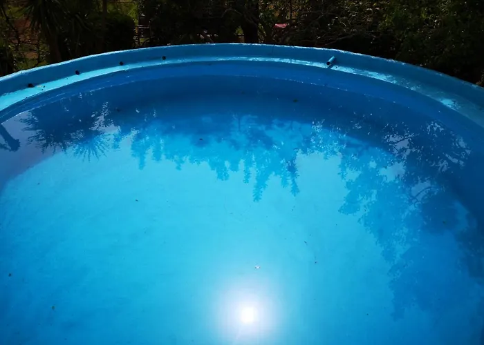 Pinnettu Sardo In Ecosistema Insetti E Animaletti Simpatici In Condivisione,leggere Attentamente Prima Di Prenotare