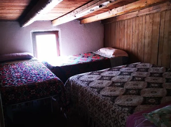 Pinnettu Sardo In Ecosistema Insetti E Animaletti Simpatici In Condivisione,leggere Attentamente Prima Di Prenotare Kır Evi