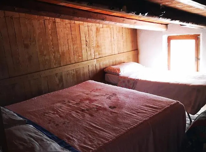 Pinnettu Sardo In Ecosistema Insetti E Animaletti Simpatici In Condivisione,leggere Attentamente Prima Di Prenotare Kır Evi Oliena