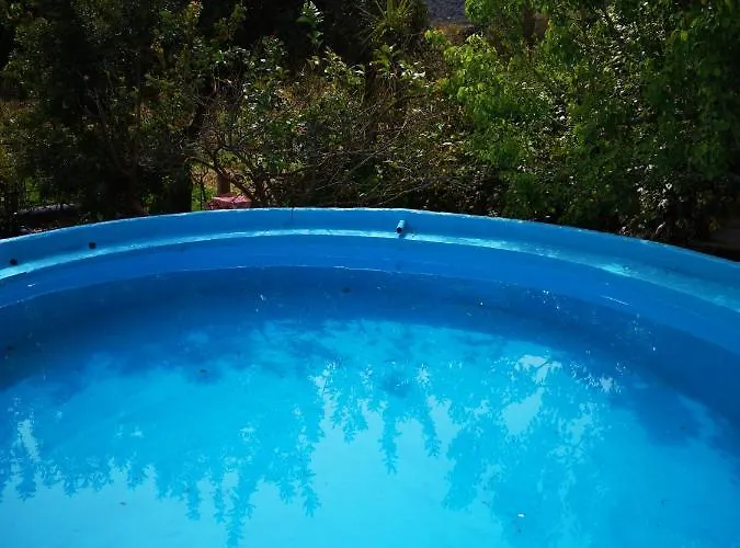 Pinnettu Sardo In Ecosistema Insetti E Animaletti Simpatici In Condivisione,leggere Attentamente Prima Di Prenotare *