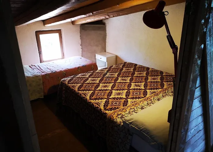 Kır Evi Pinnettu Sardo In Ecosistema Insetti E Animaletti Simpatici In Condivisione,leggere Attentamente Prima Di Prenotare Oliena