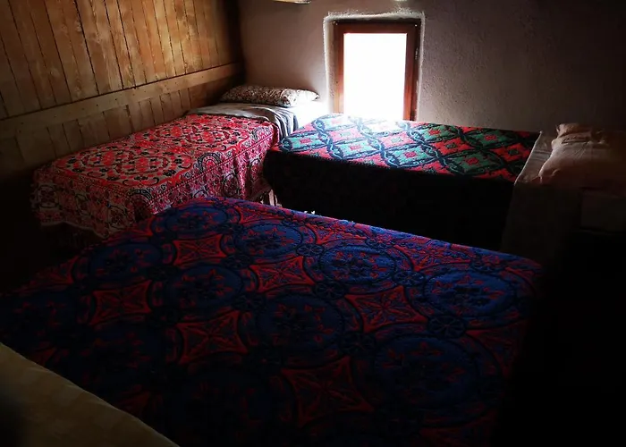 Kır Evi Pinnettu Sardo In Ecosistema Insetti E Animaletti Simpatici In Condivisione,leggere Attentamente Prima Di Prenotare *