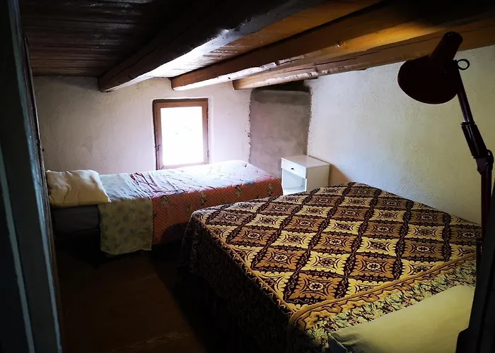 Pinnettu Sardo In Ecosistema Insetti E Animaletti Simpatici In Condivisione,leggere Attentamente Prima Di Prenotare * Oliena