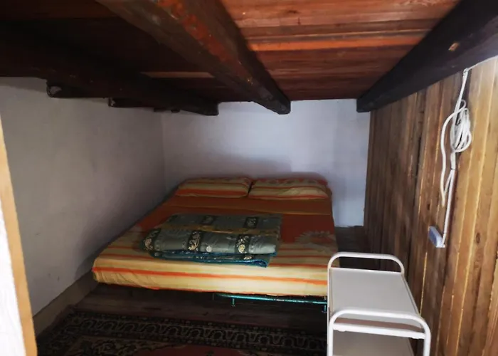 Pinnettu Sardo In Ecosistema Insetti E Animaletti Simpatici In Condivisione,leggere Attentamente Prima Di Prenotare Oliena