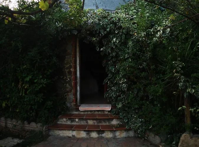 Pinnettu Sardo In Ecosistema Insetti E Animaletti Simpatici In Condivisione,leggere Attentamente Prima Di Prenotare Oliena