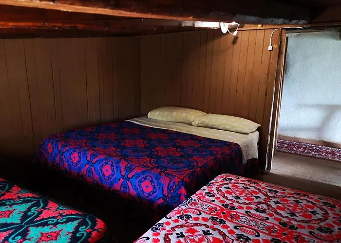 Pinnettu Sardo In Ecosistema Insetti E Animaletti Simpatici In Condivisione,leggere Attentamente Prima Di Prenotare * Oliena