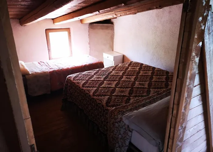 Pinnettu Sardo In Ecosistema Insetti E Animaletti Simpatici In Condivisione,leggere Attentamente Prima Di Prenotare Oliena