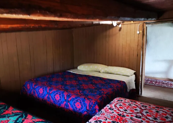 Kır Evi Pinnettu Sardo In Ecosistema Insetti E Animaletti Simpatici In Condivisione,leggere Attentamente Prima Di Prenotare