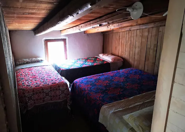 Kır Evi Pinnettu Sardo In Ecosistema Insetti E Animaletti Simpatici In Condivisione,leggere Attentamente Prima Di Prenotare Oliena