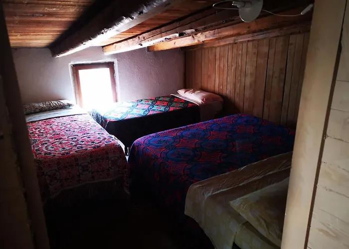 Pinnettu Sardo In Ecosistema Insetti E Animaletti Simpatici In Condivisione,leggere Attentamente Prima Di Prenotare Kır Evi