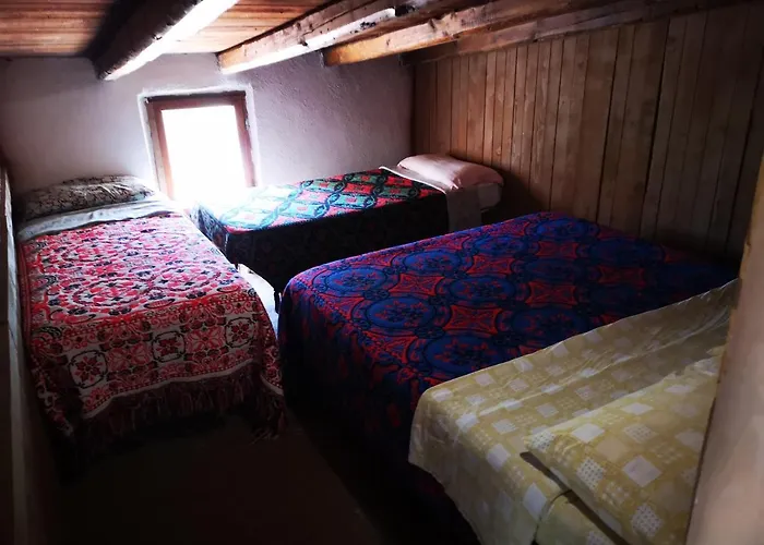 Kır Evi Pinnettu Sardo In Ecosistema Insetti E Animaletti Simpatici In Condivisione,leggere Attentamente Prima Di Prenotare Oliena