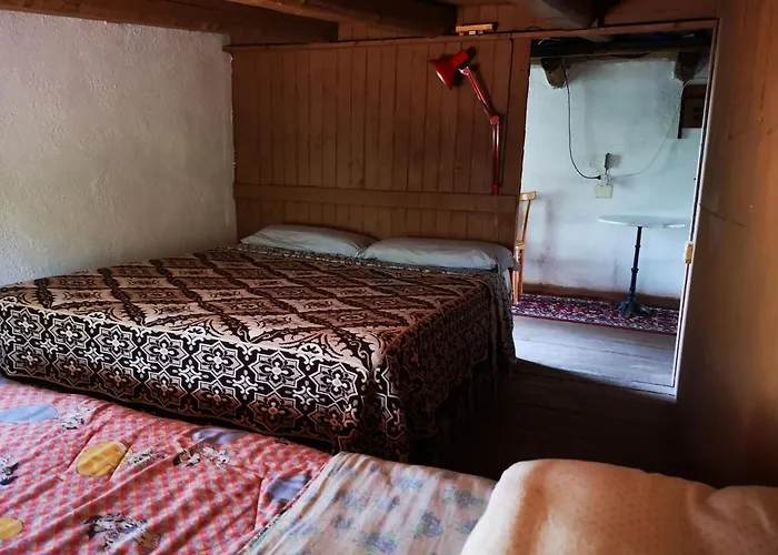 Pinnettu Sardo In Ecosistema Insetti E Animaletti Simpatici In Condivisione,leggere Attentamente Prima Di Prenotare Kır Evi