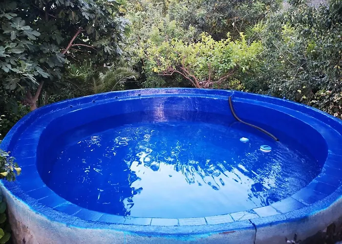 Pinnettu Sardo In Ecosistema Insetti E Animaletti Simpatici In Condivisione,leggere Attentamente Prima Di Prenotare Kır Evi *