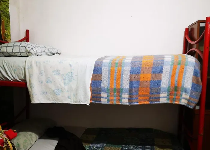 Kır Evi Pinnettu Sardo In Ecosistema Insetti E Animaletti Simpatici In Condivisione,leggere Attentamente Prima Di Prenotare Oliena